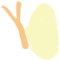 黄色い蝶2